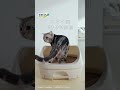 デオトイレ 「無菌レベルの歌篇」縦型しっぽふりふり