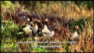 Scottish Outdoor Access Code - TV ad 2 (with subtitles)