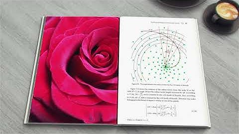 Promo video for the book "Double Helix of Phyllotaxis"