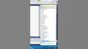How to Customize Date format in Visual Studio