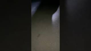 How to keep the bait on your hook!!!