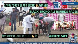 3/NOV/2023 BLACK BRONO 🦮WINNER🏆// 7_ BEST RACES💪🦅// ਸਿਰਾ ਕਰਾਤਾ black brono ਨੇ /// ALL ROUNDS RACES