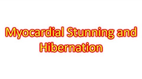 Myocardial Stunning and Hibernation