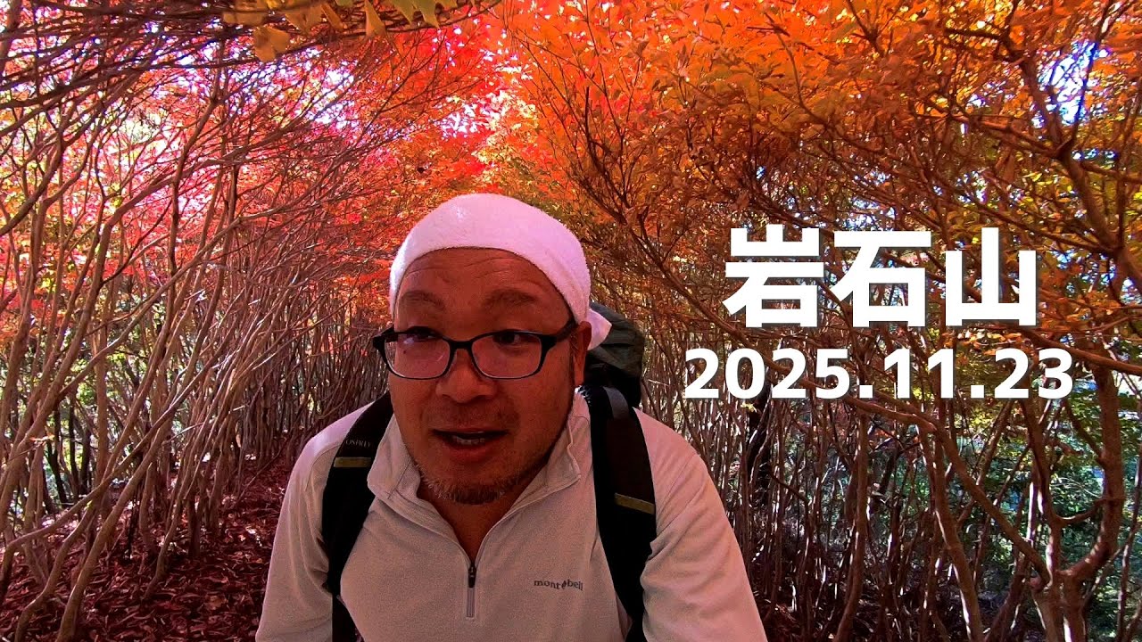 【岩石山】鉄板のドウダンツツジトンネル【2025年11月23日】