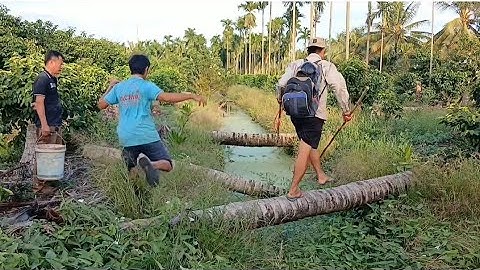 Lâu Lâu Trời Nắng Đi Kích Cá Dính Thấy Mê Luôn 