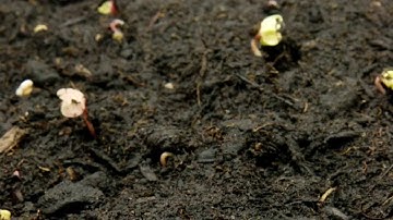 Alcatel-Lucent: Our innovation at the heart of communications