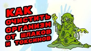 Очищение организма от шлаков и токсинов или как очистить организм? Очищение организма от шлаков и токсинов или как очистить организм?