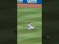 Spencer dives to make the catch 🙌