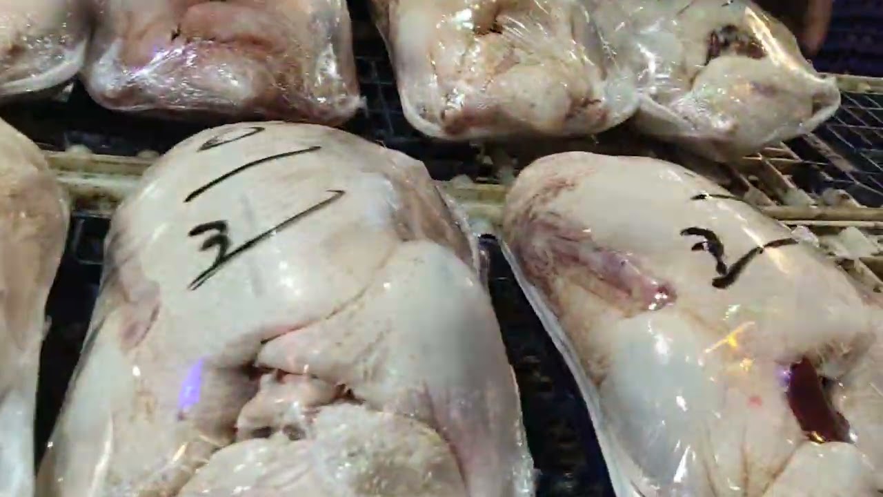 تعالوا شوفوا عروض سته رمضان والفراخ البلدي بقى الشامورت بجد مش هتصدقوا العروض هنستناكم تنورونا