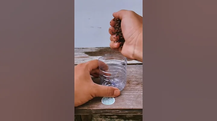 别花冤枉钱高价买花盆，废弃的矿泉水瓶，也可以种出格调盆栽#多肉 #种植小技巧 #变废为宝 - 天天要闻