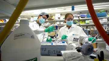 SCHEMA: Revealing the strongest genetic signals yet for schizophrenia risk