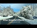 After snowfall effects - Connecticut Snowfall 2019