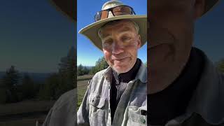 DIY Raptor Post for Vineyard Pest Control