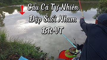 Câu đài tự nhiên đập suối nhum bà rịa vũng tàu cá rô phi | Câu cá tự nhiên | Câu đài | Fishing