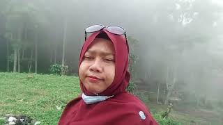 Kabut tebal dibukit sebrang Cipamingkis, puncak 2 Bogor