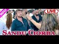 Sandu Ciorba - Program manele - Live nunta Lechinta