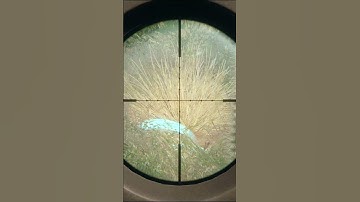 The most DISRESPECTFUL shot I