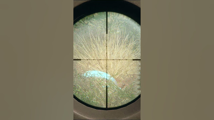 The most DISRESPECTFUL shot I've ever taken... 🍒🔫 | theHunter: Call of the Wild #shorts