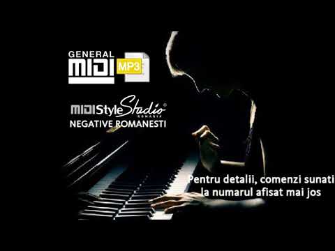 Aurel Tamas Eu plangeam si tu radeai NEGATIV sau MIDI