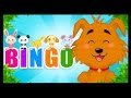 Bingo en français - Compilation de comptines et chansons pour les enfants - Titounis