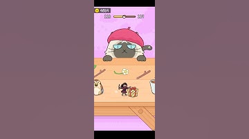 Hide And Seek: Cat Escape! Level#118 #shorts