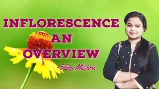 Types of Inflorescence || Morphology of flowering plants || snebs biology