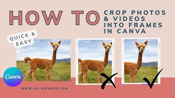 How to Perfectly Crop Images & Videos in Canva Frames #57 #canvaframes