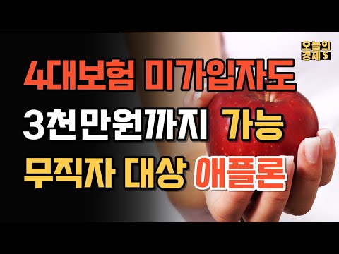 4대보험 미가입자 3천만원까지 받는 대출을 찾았어요 무직자대출 애플론 