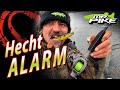 Hecht ALARM am BAGGERSEE | 24 Stunden Hechtangeln im Winter | Deadbaiting & Gummifisch