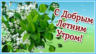 Доброе Утро Хорошего Дня. Пожелание с Добрым Утром. Красивое Доброе Утро