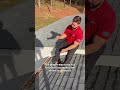 “How dumb can dumb get?”