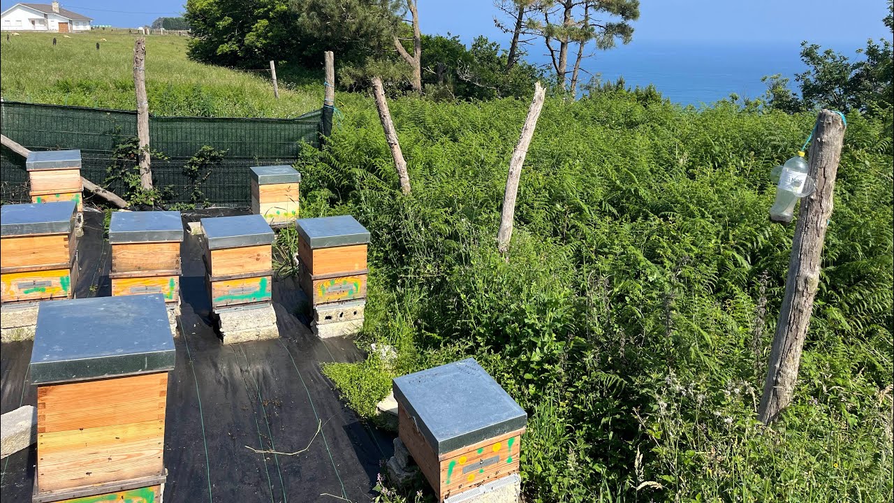 Revisión de núcleo de este año de aquí a 15 días tienen que ponerse fuertes