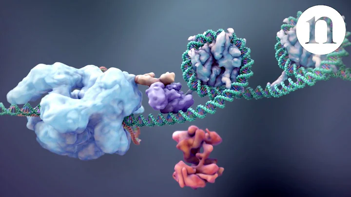CRISPR: Gene editing and beyond - DayDayNews