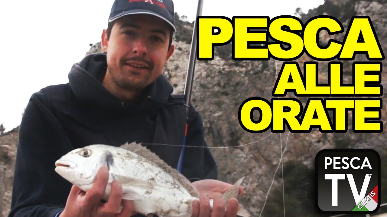 Pesca all'orata a surfcasting in Liguria YouTube Pesca all'orata a surfcasting in Liguria YouTube