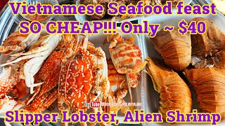 Vietnamese Seafood feast so CHEAP with slipper lobster, alien shrimp || Koolors Life Styles