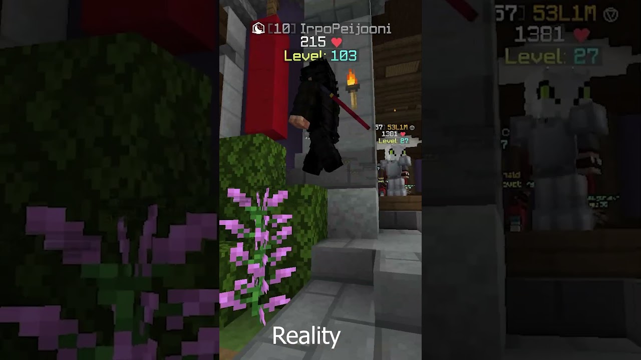 HYPIXEL SKYBLOCK Expectation VS Reality #shorts #Minecraft #shortsviral #expectationsvsreality