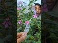 Wow The Amazing Creativity video | #shorts #video #viral