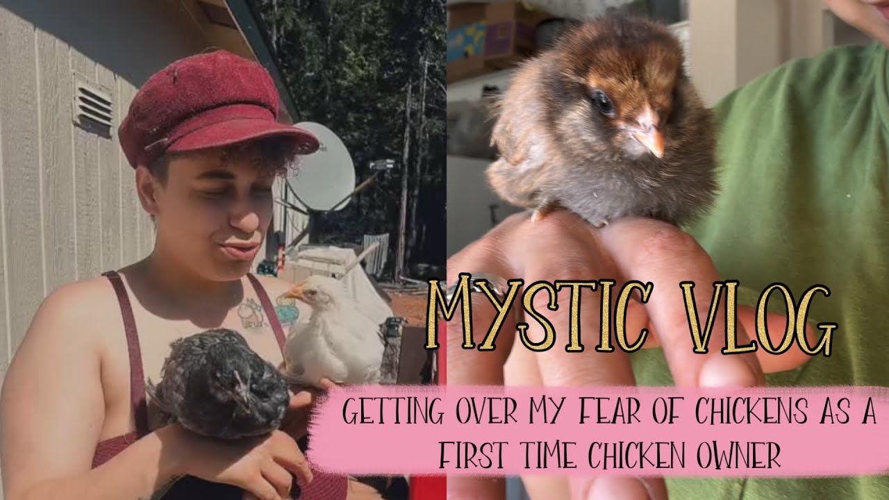 Getting over my fear of chickens as a first time chicken owner: Mystic Vlog🐥✨
