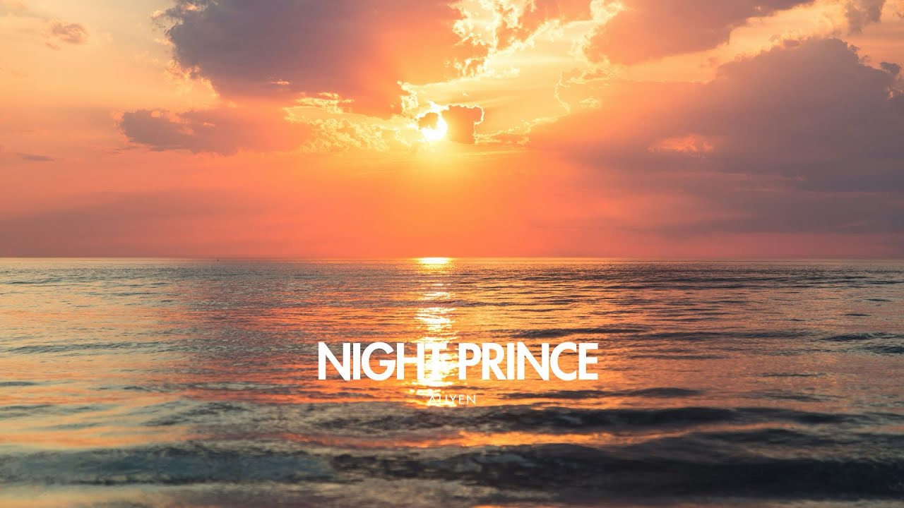 aylien - night prince