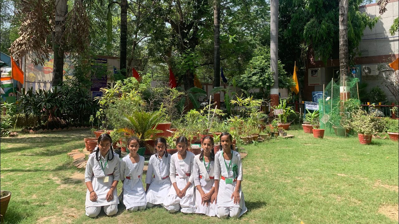 SKV Badli HERBAL GARDEN explained by Students 🪴🌿🌳