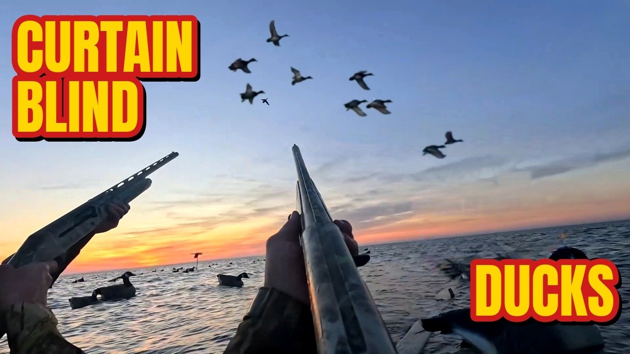 A・B・フロスト、「DUCK SHOOTING FROM A BLIND」 Shooting ducks from a curtain blind in North Carolina. - YouTube