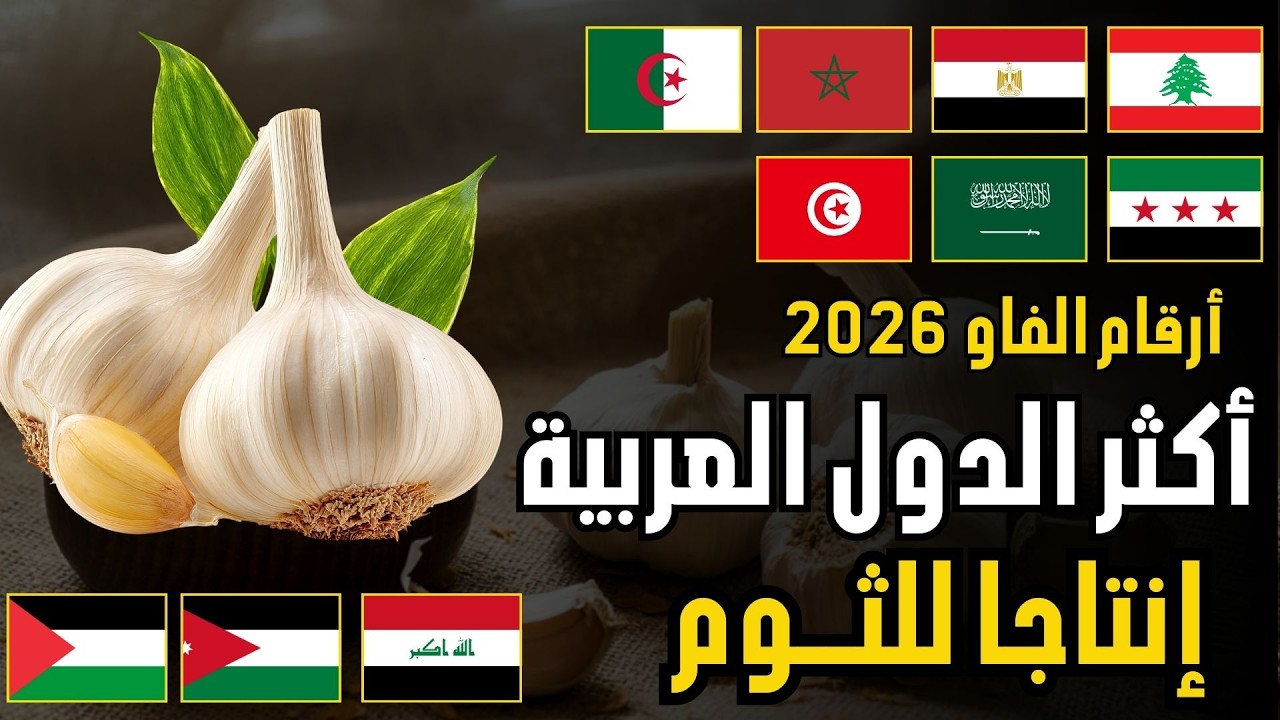 🧄 لن تصدق من يسطر على إنتاج الثوم عربيًا؟؟  ترتيب الدول العربية حسب إنتاج الثوم (FAO 2026)