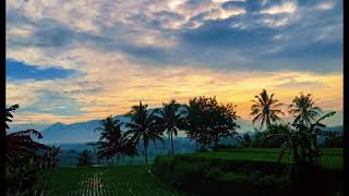 Download Lagu Sancang Cocok Untuk | Story Wa Video MP3 Lagu Sancang Cocok Untuk | Story Wa