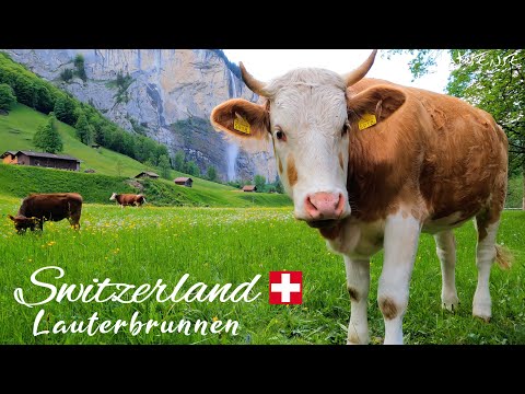 Cennet gibi İsviçre 4K | LAUTERBRUNNEN Vadisi ve Köyü | Gerçek 4K UHD 60fps Video