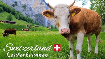 LAUTERBRUNNEN Village and Valley | Paradisiacal Switzerland | 4K UHD 60fps Video LAUTERBRUNNEN Village and Valley | Paradisiacal Switzerland | 4K UHD 60fps Video