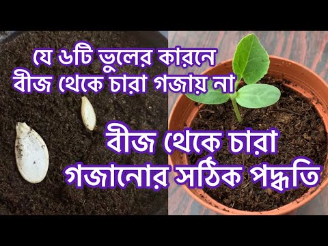 ভিডিও: বপনের জন্য কীভাবে বীজ প্রস্তুত করবেন