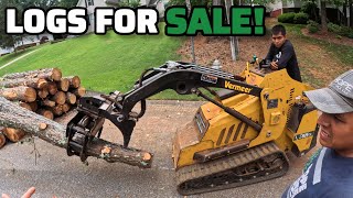 Selling Nice $200 Loads Of Pine Logs To A Sawmill! - I Got Hired To Work My Truck And Dump Trailer!