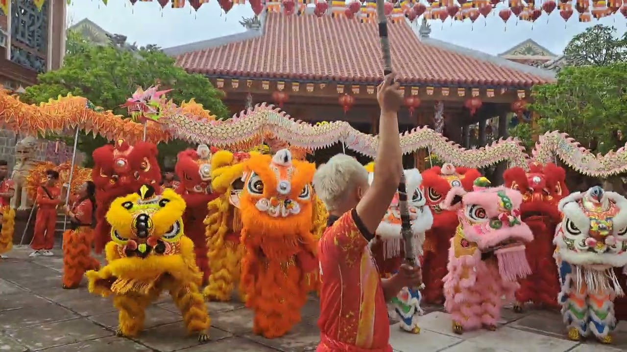 LÂN SƯ RỒNG KỲ HOÀN - CHÙA LONG KHÁNH - KHAI QUANG ĐIỂM NHÃN - MÚA LÂN - TẾT 2026