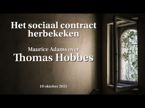 Video: Waarom onze steden verlamd zijn door files