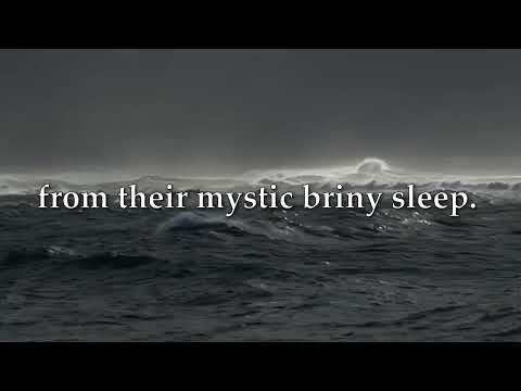 The Lonely Sea